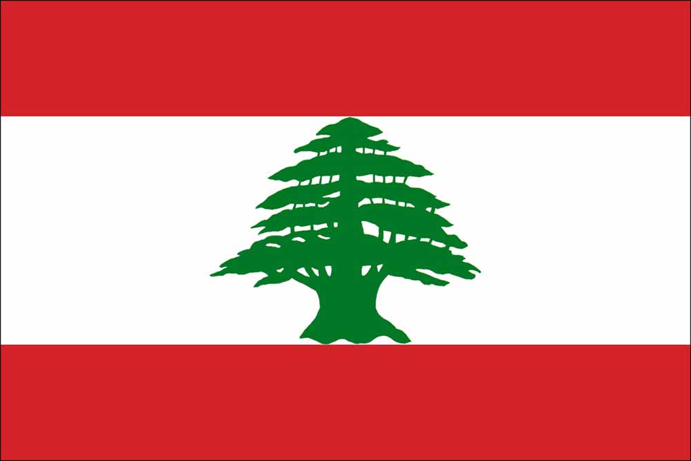 إعلان: قنصلية لبنان في فيكتوريا تطلب دعما ماليا وصحيا للبنانيين